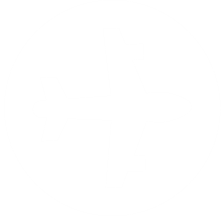 Plane Logo